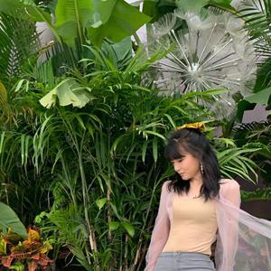 日韓av免費綜合資源在線播放網站
